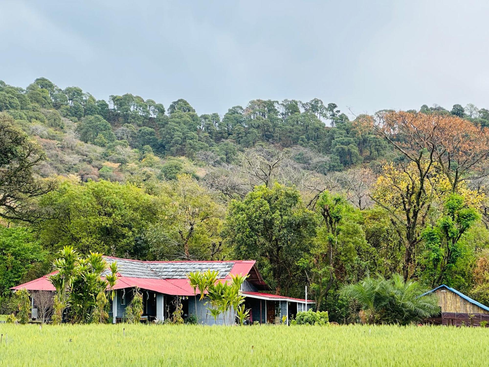 Hostel Dreamwoods A Travellers Farm Dharamshala Exterior foto